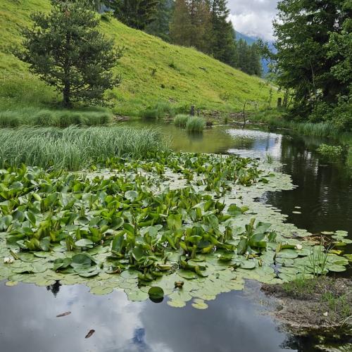 Wandertag III